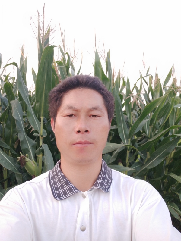四海游龙的第一张照片--潍坊相亲服务中心