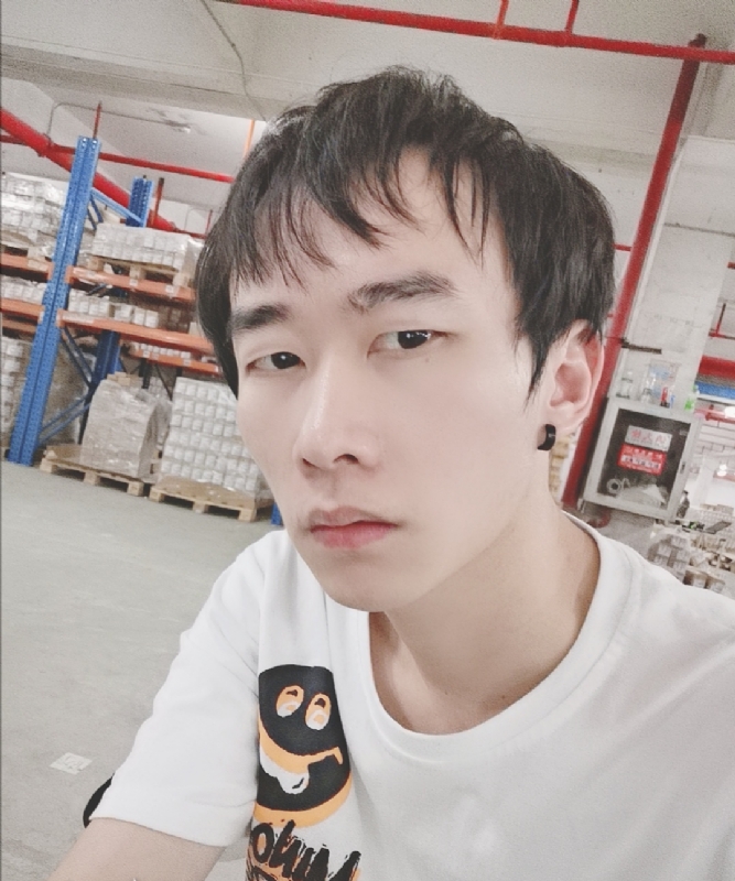 巷子里的猫的第一张照片--潍坊相亲服务中心