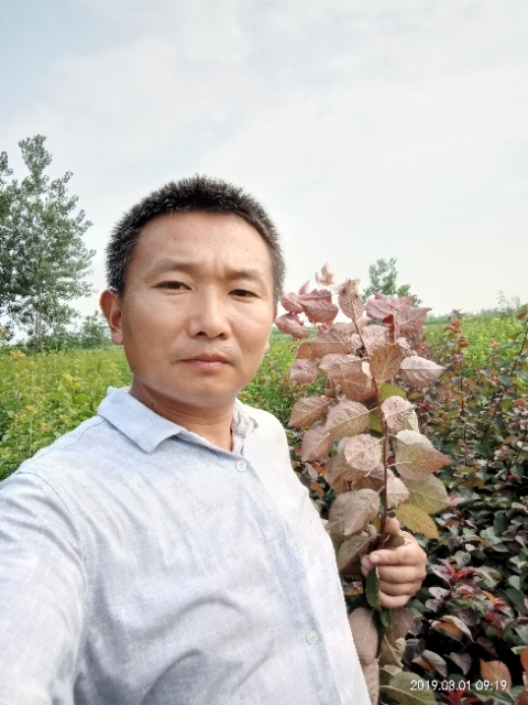 孩子爸的第二张照片--潍坊相亲服务中心